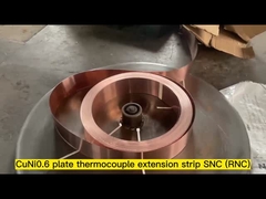 S/R thermocouple extension strip SNC (RNC)
